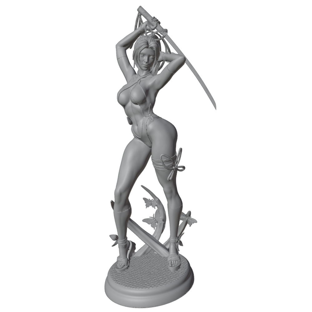 1/24 Female 	Warrior Resin Mod - 3D Printing Apps recension och pris