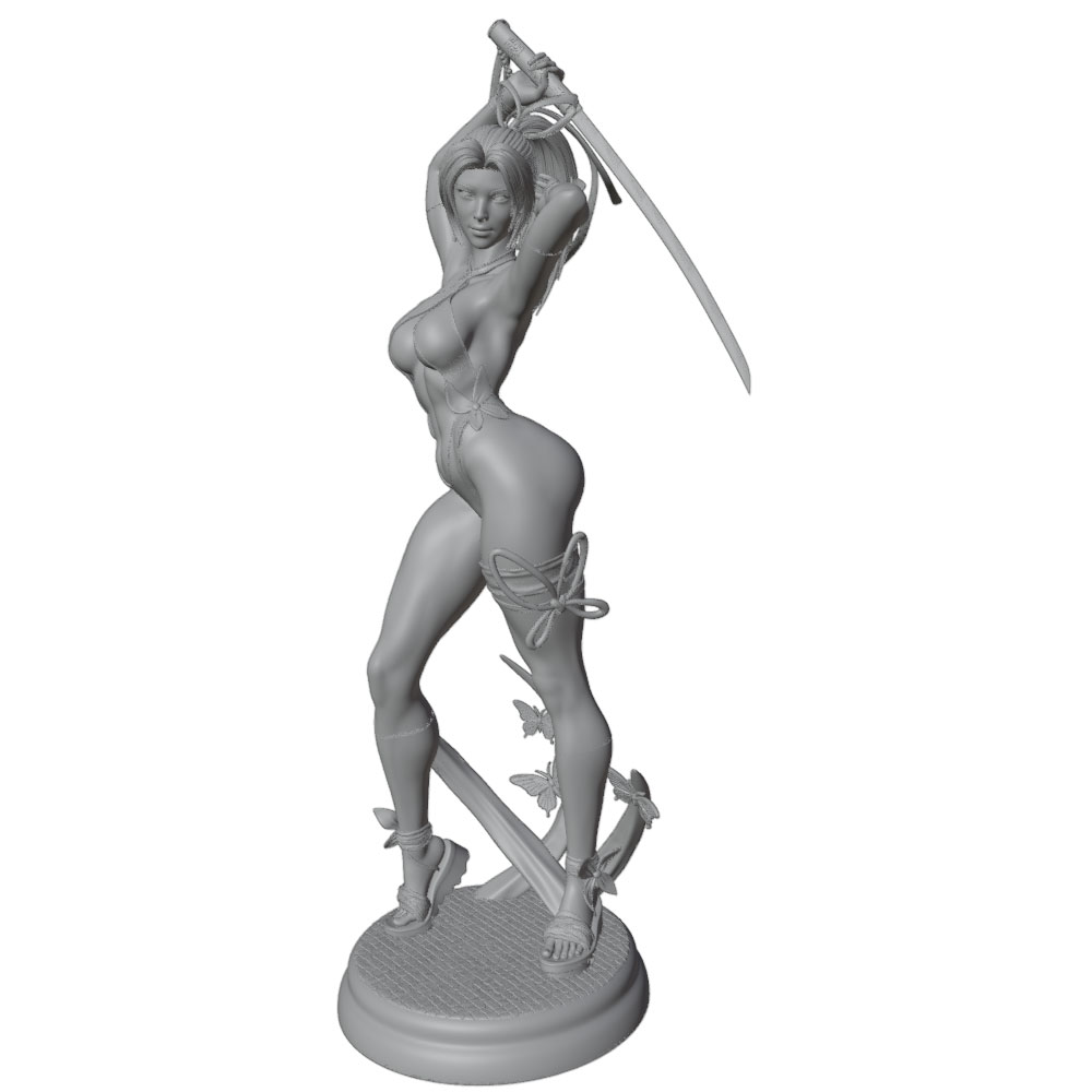 1/24 Female 	Warrior Resin Mod - 3D Printing Apps recension och pris